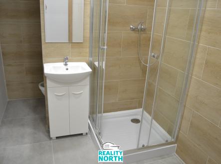 DSC_1091 | Pronájem bytu, 1+kk, 31 m²