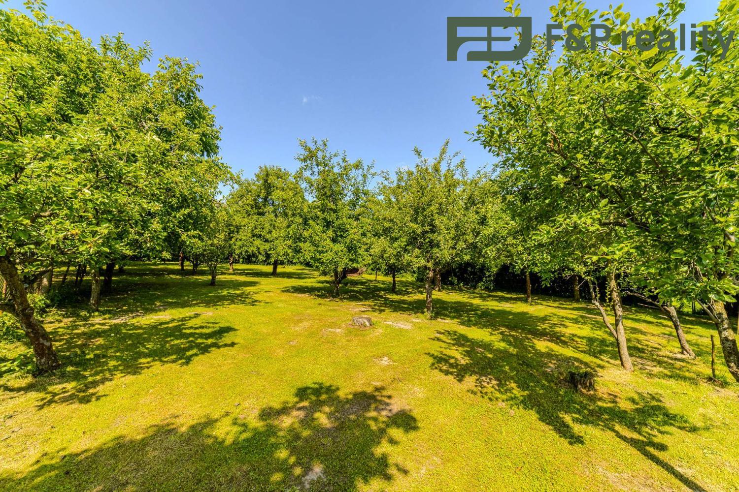 Prodej pozemek Bydlení|Pardubický kraj, Ústí nad Orlicí, Zádolí, 10, 56601