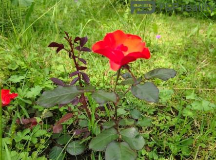 Prodej bytu, 3+1, 89 m²