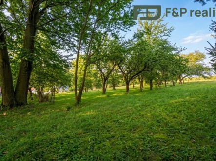 Prodej - pozemek pro bydlení, 1 000 m²