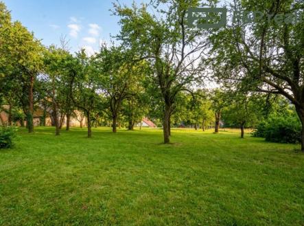 Prodej - pozemek pro bydlení, 1 000 m²