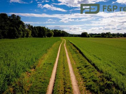 Prodej - pozemek, zemědělská půda, 26 000 m²
