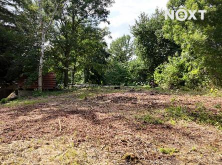 Prodej - pozemek pro bydlení, 2 894 m²