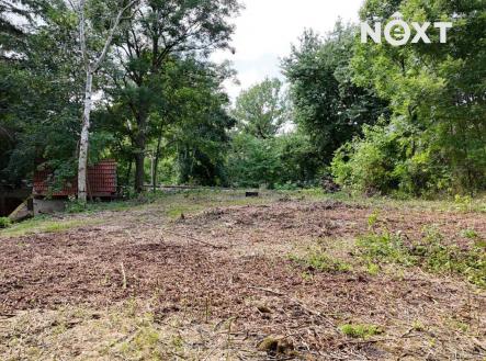 Prodej - pozemek pro bydlení, 2 894 m²