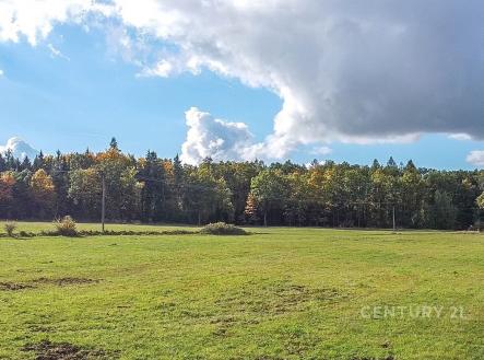 . | Prodej - pozemek, trvalý travní porost, 29 836 m²