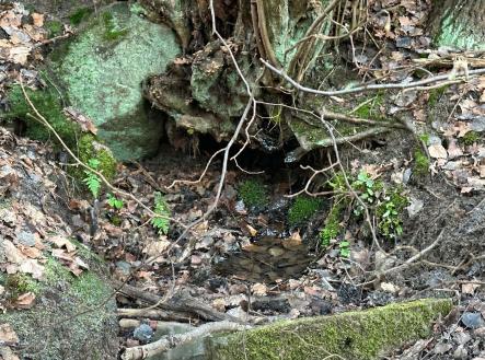 . | Prodej - pozemek, trvalý travní porost, 27 014 m²