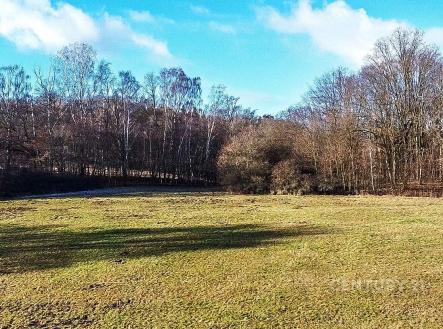 . | Prodej - pozemek, trvalý travní porost, 27 014 m²