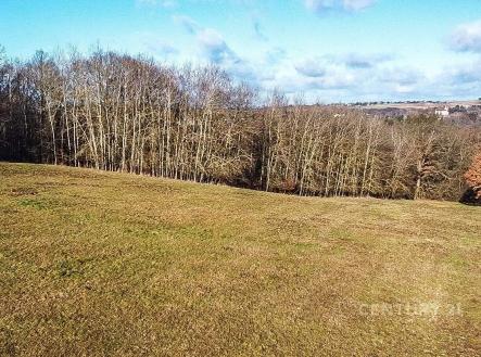 . | Prodej - pozemek, trvalý travní porost, 27 014 m²