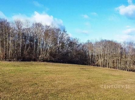 Prodej - pozemek, trvalý travní porost, 27 014 m² obrázek