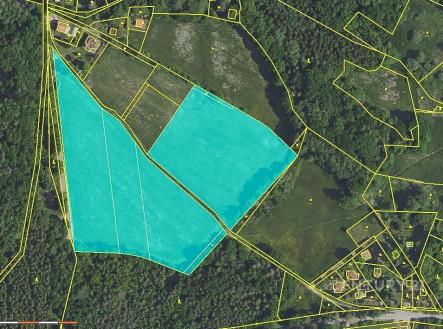 . | Pronájem - pozemek, trvalý travní porost, 29 836 m²