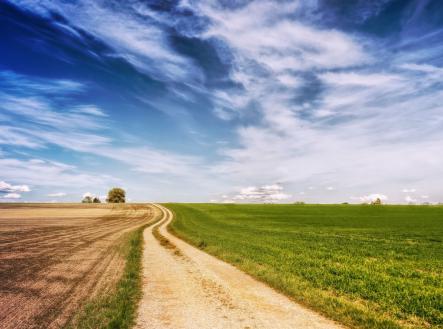 3.jpg | Pronájem - pozemek pro bydlení, 10 000 m²