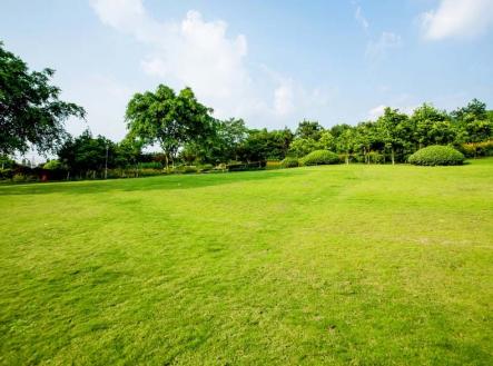 4.jpg | Pronájem - pozemek pro bydlení, 10 000 m²