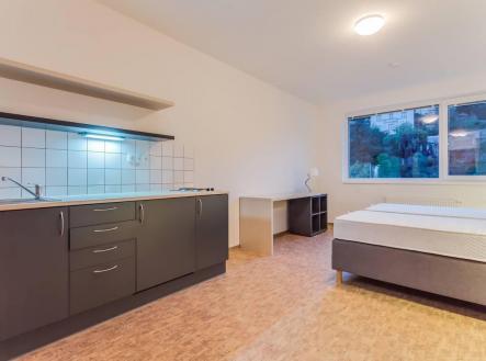 4.jpg | Pronájem bytu, atypický, 30 m²