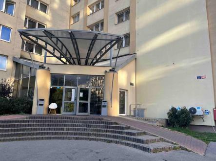 IMG_5613.jpeg | Pronájem bytu, 1+kk, 28 m²