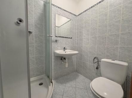 IMG_8014.jpeg | Pronájem bytu, 2+kk, 50 m²