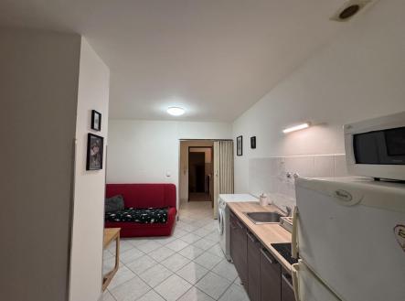 IMG_8087.jpeg | Pronájem bytu, 2+kk, 50 m²