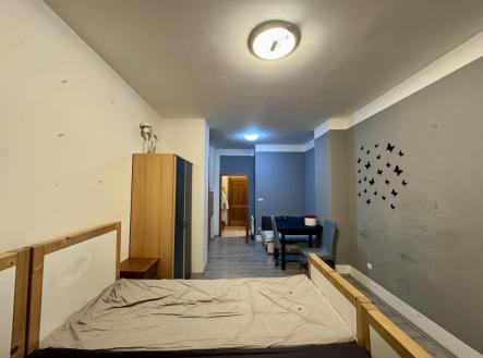 IMG_8815.jpeg | Pronájem bytu, 1+kk, 30 m²