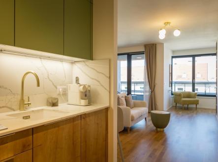 9bb949f1-252e-49bf-81fd-2c833a3f4807.jpeg | Pronájem bytu, 1+1, 43 m²