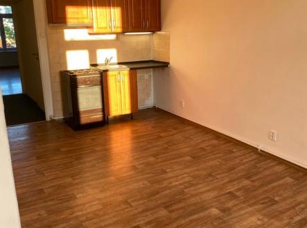 73DE (13).jpg | Pronájem bytu, 2+kk, 50 m²