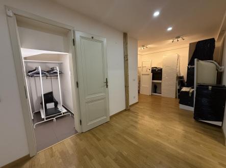 IMG_0549.jpg | Pronájem bytu, 2+kk, 89 m²