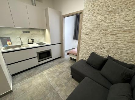 fce66221-0cc9-4fd2-a479-010c0b1a225e.JPG | Pronájem bytu, 2+kk, 23 m²