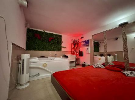 IMG_9687.jpeg | Pronájem - obchodní prostor, 100 m²