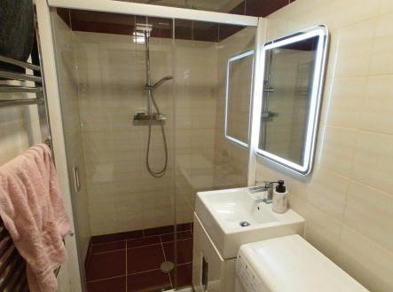 IMG_7922.JPG | Pronájem bytu, 2+kk, 43 m²