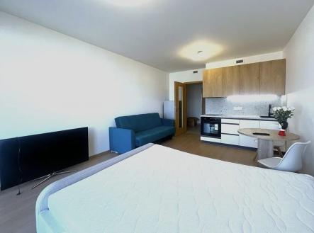 IMG_1097.jpeg | Pronájem bytu, 1+kk, 32 m²