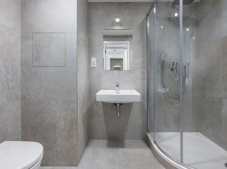 IMG_1290.jpeg | Pronájem bytu, 1+kk, 35 m²