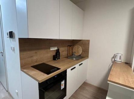 IMG_2122.jpeg | Pronájem bytu, 1+kk, 20 m²