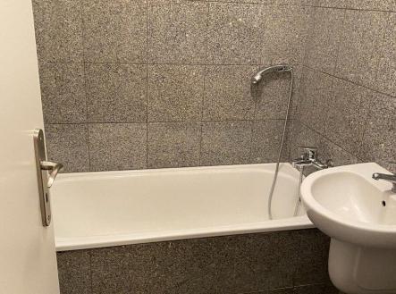 7.jpg | Pronájem bytu, 1+kk, 25 m²