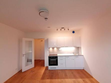 IMG_4457.jpeg | Pronájem bytu, 1+kk, 27 m²