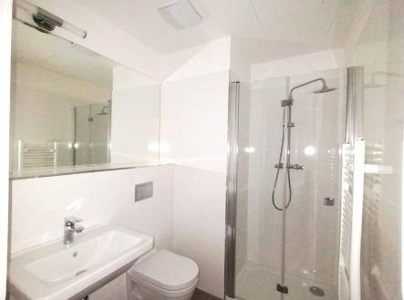 IMG_4459.jpeg | Pronájem bytu, 1+kk, 27 m²