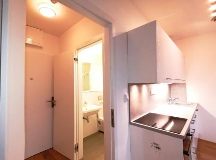 IMG_4458.jpeg | Pronájem bytu, 1+kk, 27 m²