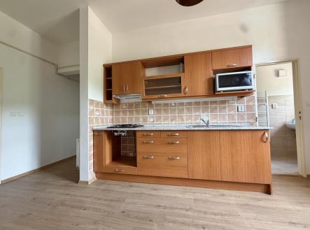 IMG_4448.jpeg | Pronájem bytu, 2+1, 65 m²