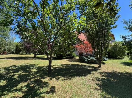 1D12818C-664D-4BC1-80C4-FA5FD3D5E69F | Prodej - dům/vila, 300 m²