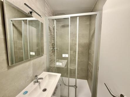 IMG_6083 | Pronájem bytu, 1+kk, 28 m²