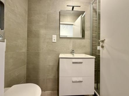 IMG_6082 | Pronájem bytu, 1+kk, 28 m²