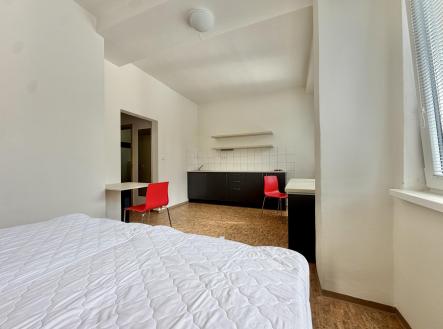 IMG_6378 | Pronájem bytu, atypický, 27 m²