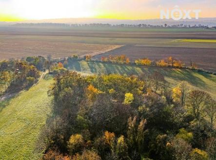 Prodej - pozemek, zahrada, 1 197 m²