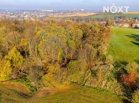 Prodej - pozemek, zahrada, 1 197 m²