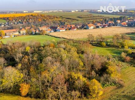 Prodej - pozemek, zahrada, 1 197 m²