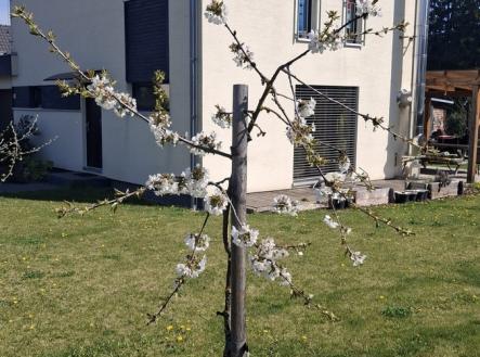 whatsapp-image-2026-04-18-at-10.57.50-1.jpeg | Prodej - dům/vila, 110 m²