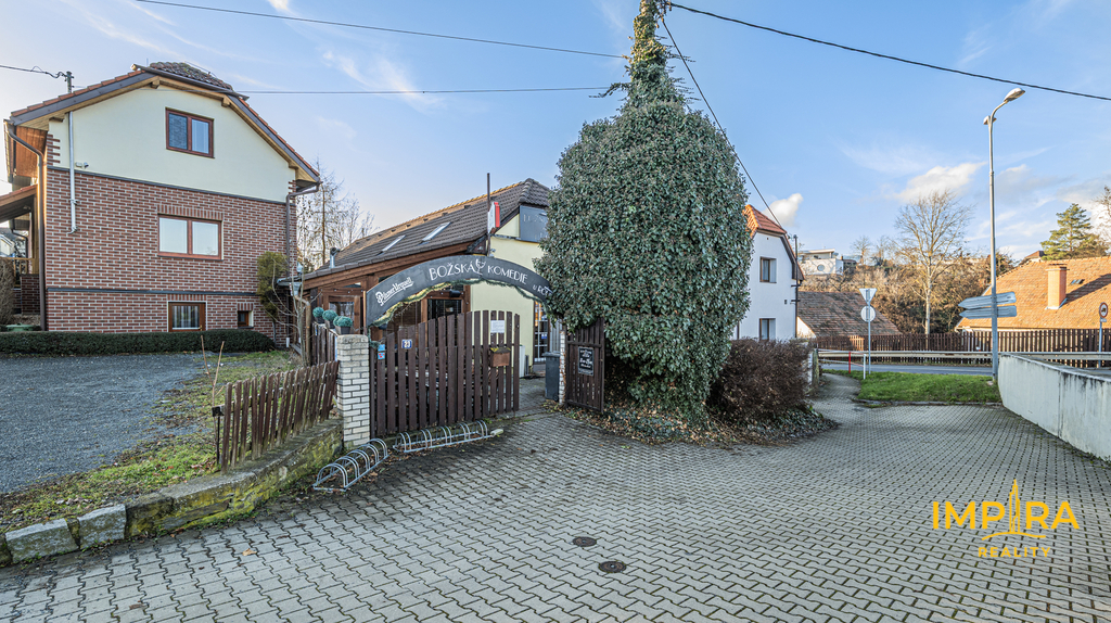 p1106166.jpg