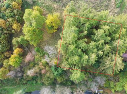 foto: 1 | Prodej - pozemek, les, 986 m²
