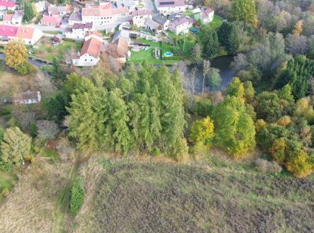 foto: 3 | Prodej - pozemek, les, 986 m²