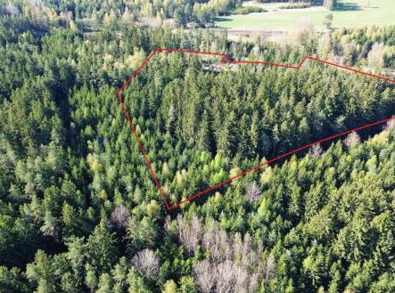 foto: 1 | Prodej - pozemek, les, 32 111 m²