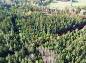 Prodej - pozemek, les, 32 111 m²