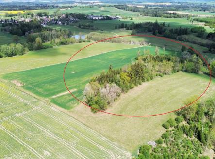 foto: 2 | Prodej - pozemek, les, 18 833 m²