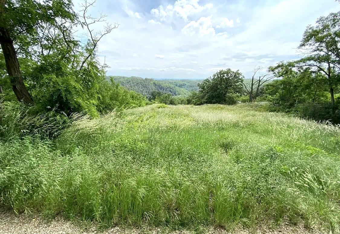 Nebovidy od cesty.jpg